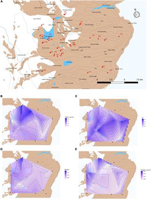 The spatial distribution and biogeochemical drivers of nitrogen cycle genes in an Antarctic desert